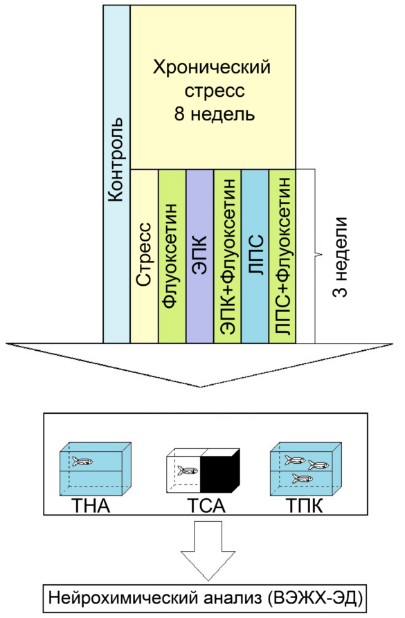 Спокойствие, только спокойствие