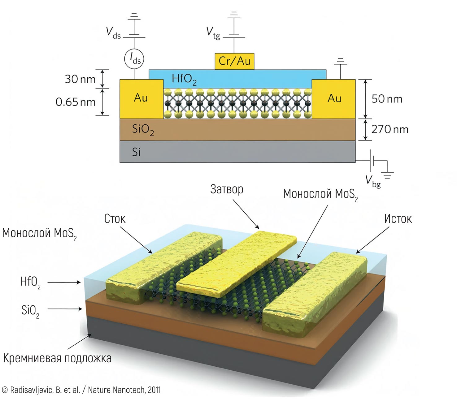 © Radisavljevic, B. et al. / Nature Nanotech, 2011