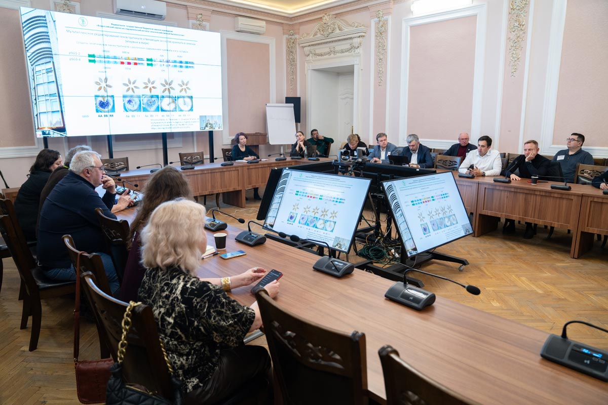 Заседание научного клуба «Разговоры За науку на Климентовском». Фото: Анастасия Каплина