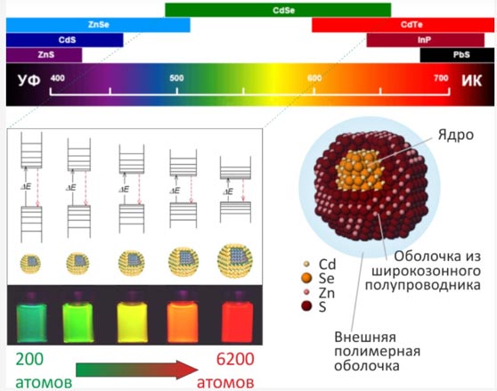 Коллоидные квантовые точки — это полупроводниковые нанокристаллы, носители заряда которых ограничены в пространстве во всех трех направлениях