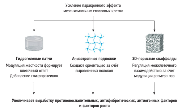 Источник: журнал «Гены и клетки»