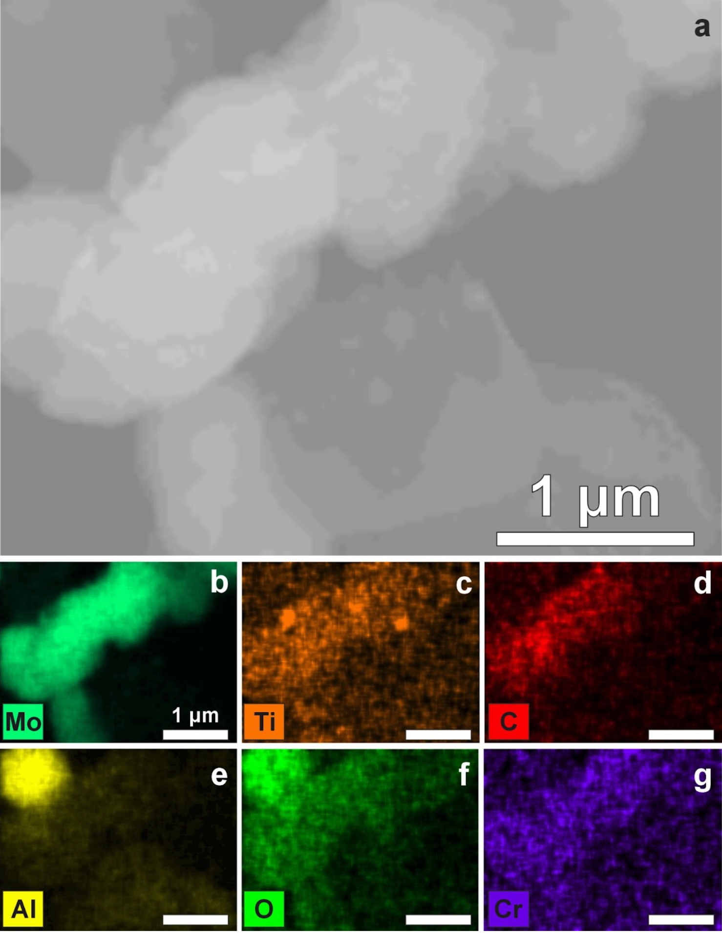 Рисунок. Изображение сканирующей электронной микроскопии (a) и картирование элементов методом рентгеновской энергодисперсионной спектроскопии (b-g) MXene Mo2TiC2. Источник: Завидовский И.