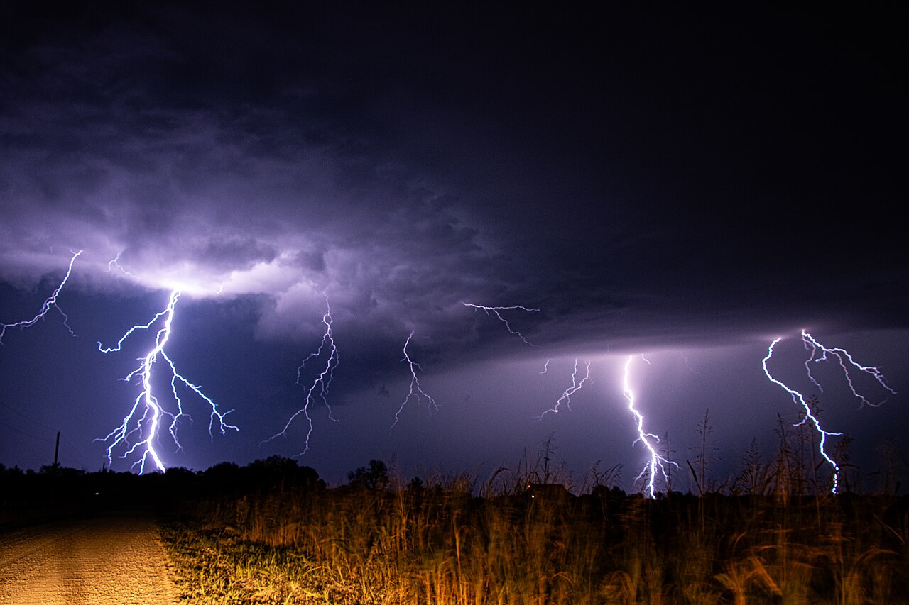 Фото: Rollingskyphoto, CC BY 4.0, via Wikimedia Commons