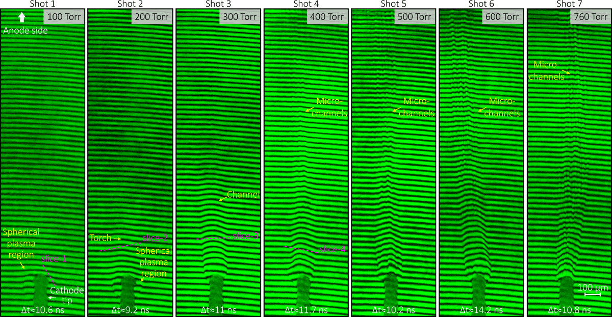 Источник: Егор Паркевич