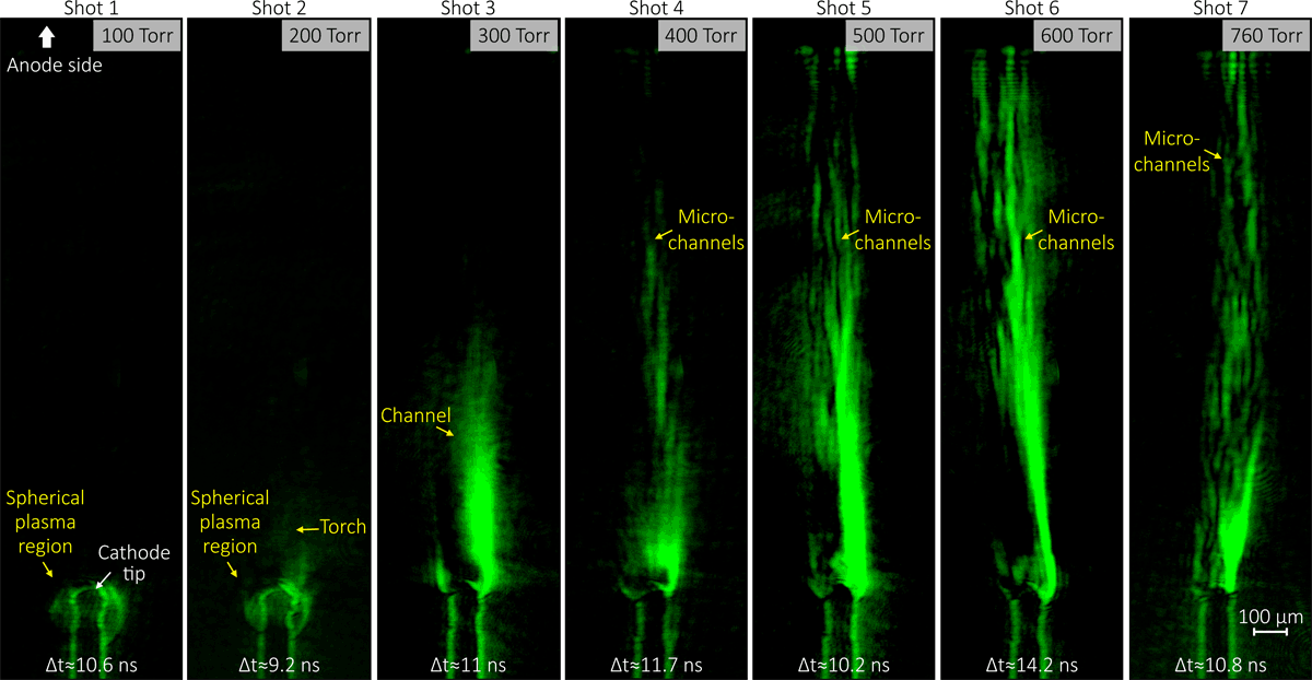 Источник: Егор Паркевич