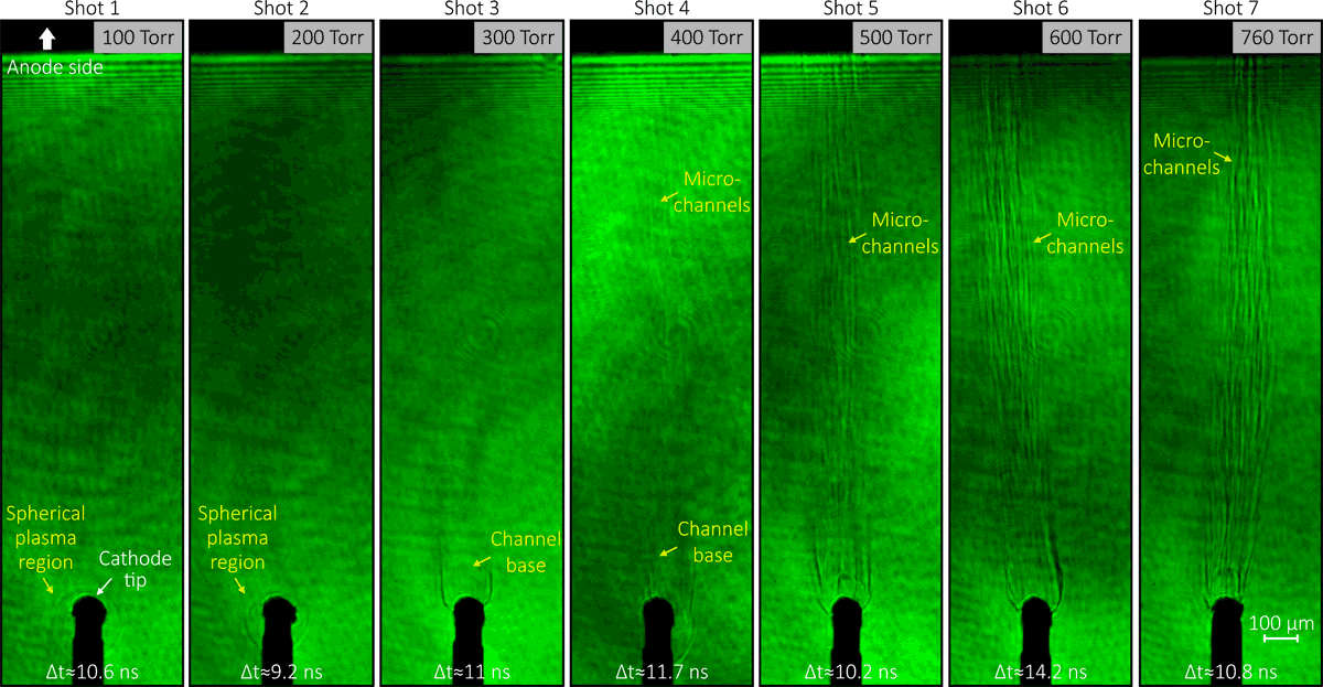Источник: Егор Паркевич