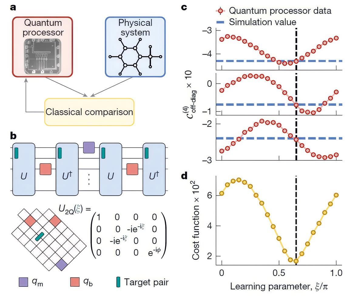 Источник: Google Quantum AI and Collaborators. Nature (2025)