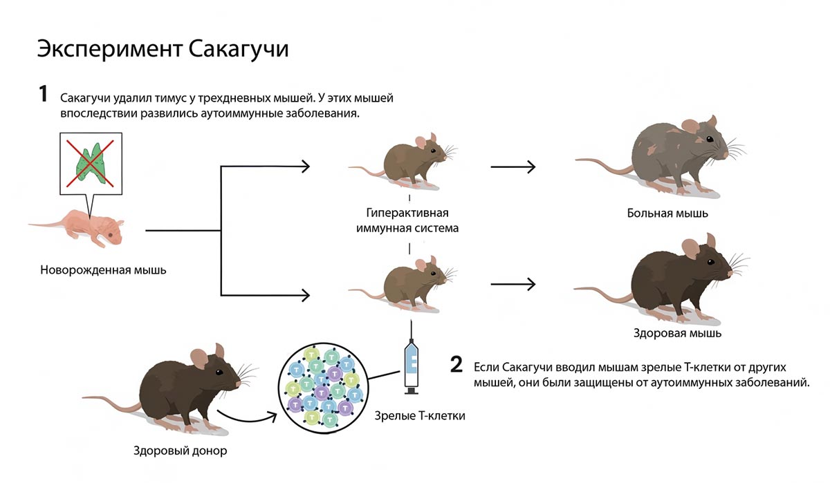 Источник: nobelprize.org