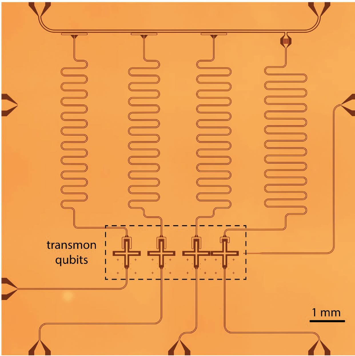 На фотографии микрочипа видны четыре сверхпроводящих кубита-трансмона (крестообразные структуры в центре). Источник изображения: T. E. Roth et al., arXiv:2106.11352 (2021)
