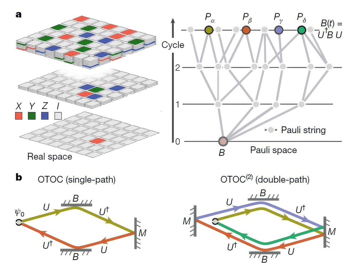 Источник: Google Quantum AI and Collaborators. Nature (2025)