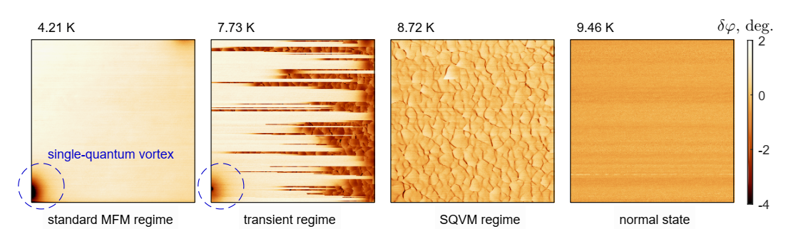 Рисунок 1. В режиме МСМ можно разглядеть закрепившийся на дефекте квантовый вихрь, а при росте температуры его плавно сменяет «чешуйчатый» узор пинниговой сети. Источник: Mesoscience & Nanotechnology