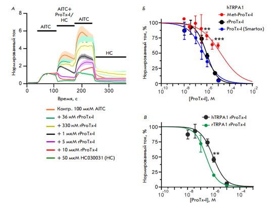 Действие вариантов ProTx-I на направленные наружу AITC-индуцированные токи в ооцитах X. laevis. Источник: Acta Naturae