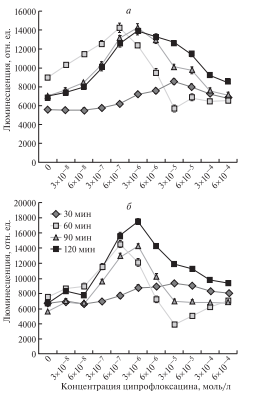Рисунок. Люминесценция биосенсорных штаммов pGrpE-lux (а) и pIbpA-lux (б). Источник: «Генетика»