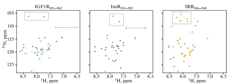 Рисунок. ЯМР-спектры трансмембранных доменов инсулиновых рецепторов в мембраноподобной среде. Источник: Biochemistry (Moscow), Supplement Series A: Membrane and Cell Biology