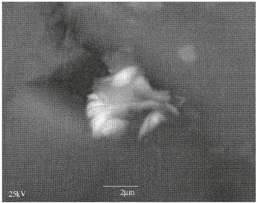 Рисунок 2. Полученное с помощью электронного микроскопа изображение частицы из реголита Моря Кризисов, собранного автоматической станцией «Луна-24». Источник: Богатиков О. А., Горшков А. И., Мохов А. В. и др. // Докл. РАН. 378, №2. 230 (2001)