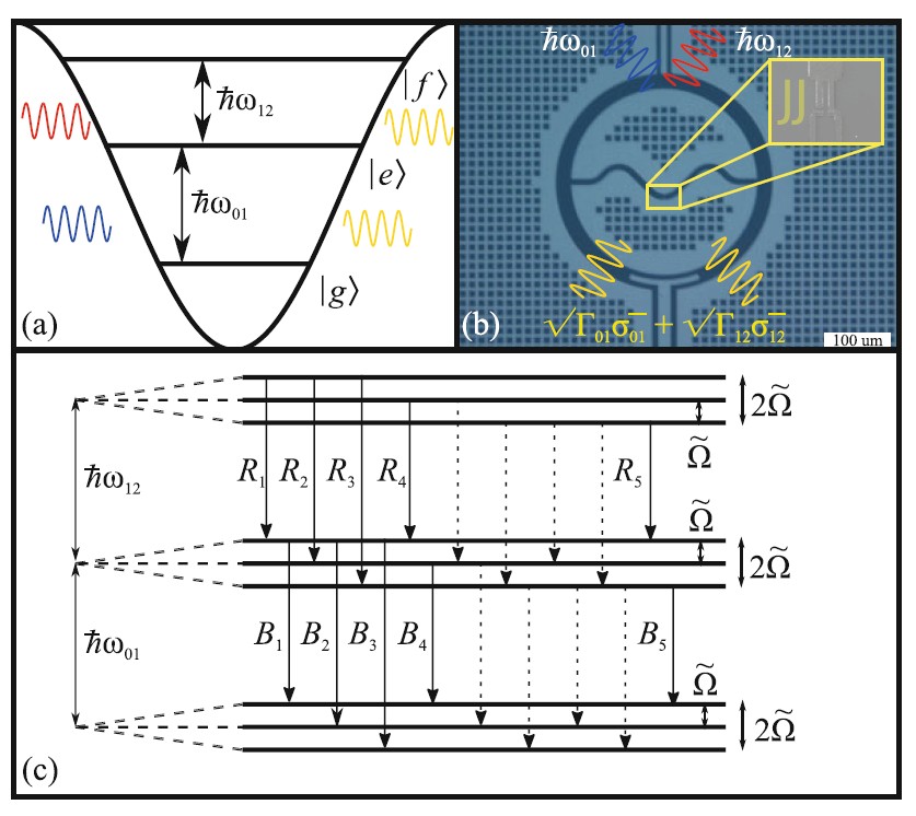 Рисунок. 1. (a) Схема бихроматической накачки трехуровневой системы. Монохроматические возбуждения подаются на частотах резонансных переходов g-e и e-f. (b) Оптическое изображение искусственной трехуровневой системы, реализованной с помощью шунтированных джозефсоновских переходов, подвергающейся воздействию (синего) излучения накачки и (красного) зондирующего излучения. (c) Структура оптических переходов при взаимодействии трехуровневой системы с двумя резонансными модами электромагнитного поля. Источник: JETP Letters