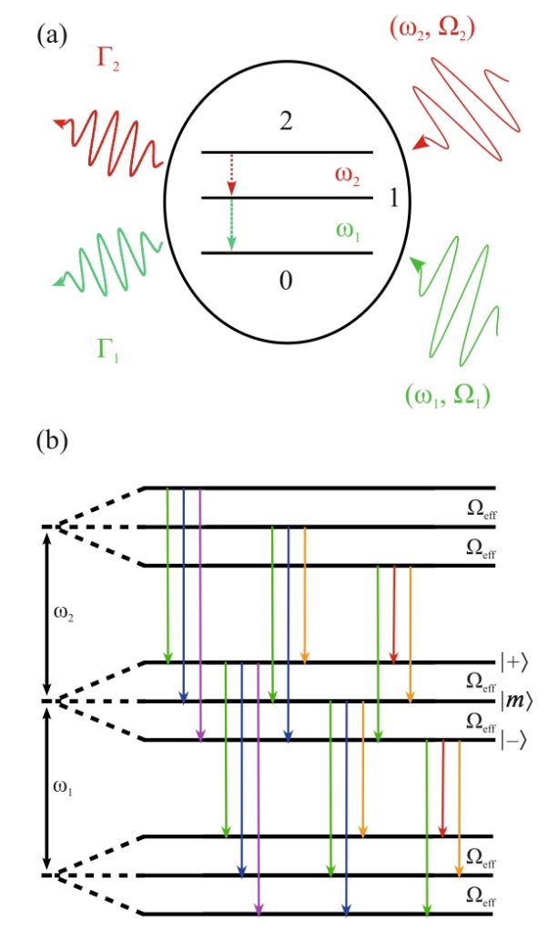 Рисунок. Схема трехуровневой системы при бихроматическом возбуждении. (б) Структура квазистационарных энергетических уровней. Цветные линии отмечают переходы с одинаковыми параметрами. Источник: журнал «Письма в ЖЭТФ»