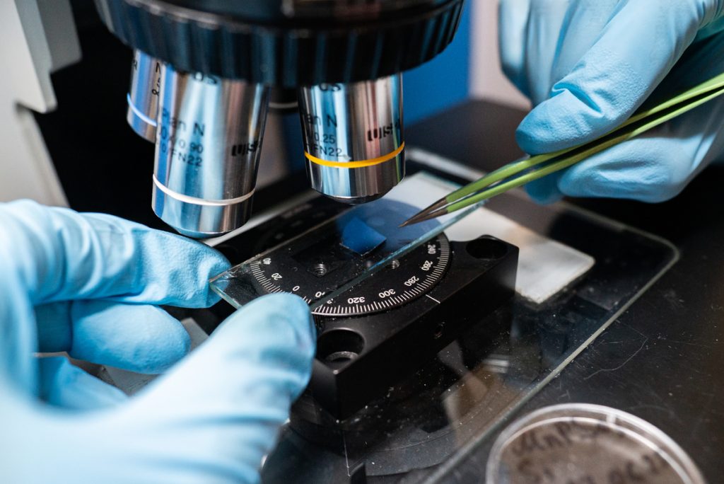 Центр фотоники и двумерных материалов МФТИ. Фото: Анастасия Максименко