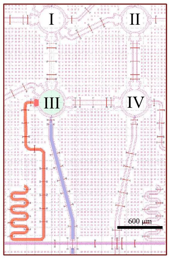 Рисунок 2. Фрагмент компоновки сверхпроводникового процессора: выбранные трансмоны (пронумерованы), линии управления и считывания, резонатор дисперсионного чтения. Источник: JETP Letters (2025)