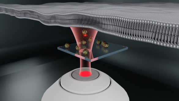 photo_2026-04-08_15-26-44 Иллюстрация предоставлена Александром Шалиным