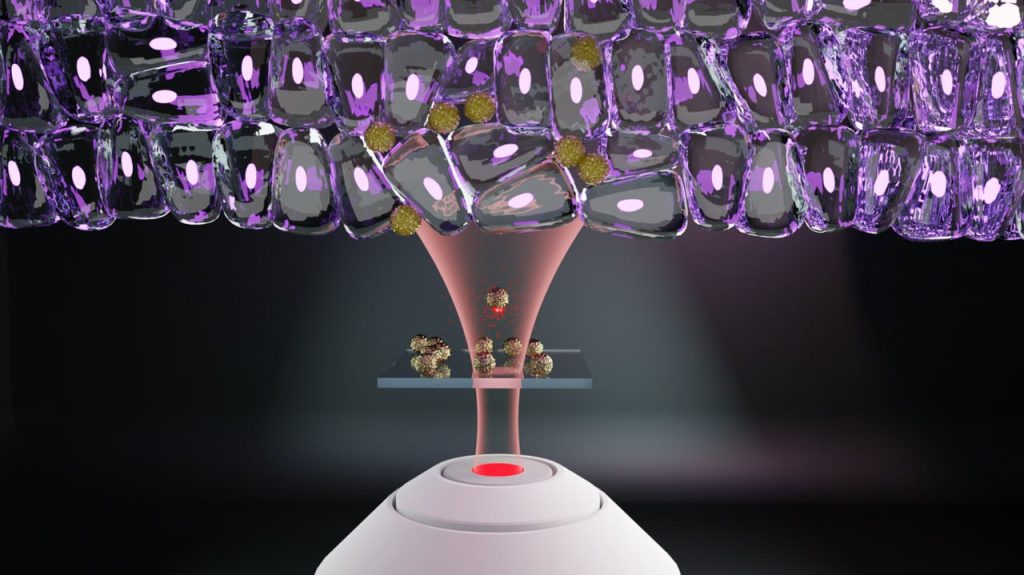 Иллюстрация предоставлена Александром Шалиным