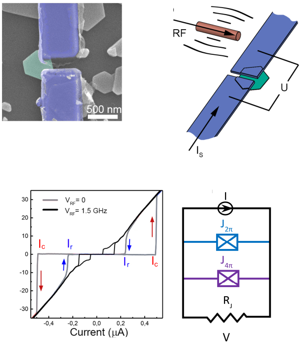 Рисунок 1. а) Изображение джозефсоновского перехода на основе кристалла Bi₂Te₂.₃Se₀.₇, полученное методом сканирующей электронной микроскопии. Кристалл обозначен светло-зеленым псевдоцветом, подведенные к нему ниобиевые электроды — голубым. б) Схема эксперимента: на джозефсоновский переход воздействуют микроволнами с переменной частотой, регистрируя при этом зависимость напряжения от протекающего через переход тока. в) При повышении частоты микроволнового излучения выше 1,5 ГГц на вольт-амперной характеристике перехода наблюдаются ступени Шапиро (обозначены сплошной черной линией). г) Двухканальная схема из двух параллельных джозефсоновских переходов, использованная учеными в качестве модели. Источник: Communications Materials