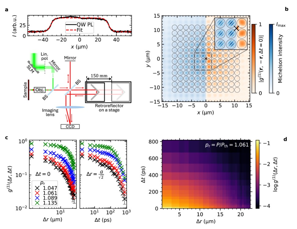 Рисунок 1. Пространственно-временные корреляции экситон-поляритонных конденсатов. (b) Двумерные корреляционные функции g(Δr, Δt) для различных относительных мощностей накачки (указаны цифрами 1.061, 1.047, 1.089, 1.135 от порога конденсации). По горизонтали — временная задержка Δt (пс), по вертикали — пространственное смещение Δr (мкм). (c) Эволюция корреляционной функции при малых значениях параметра (нормированное время), показывающая рост пространственно-временной когерентности. Именно из таких данных извлекается KPZ-скейлинг. Источник: Widmann et al., Science 2026