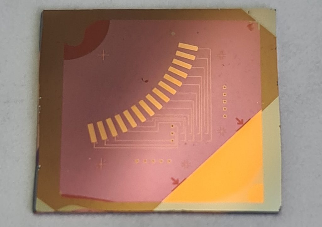 Общий вид образцов. Источник: «Радиотехника и электроника»