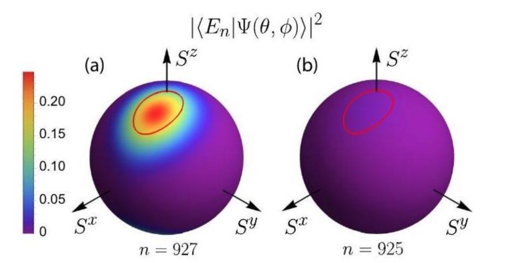 Рисунок 4. Сферическая карта перекрытия между собственным состоянием энергии и когерентным спиновым состоянием для цепочки спинов 2: (a) шрамовое состояние — плотность концентрируется вдоль периодической траектории; (b) типичное состояние — плотность распределена равномерно. Источник: Physical Review E