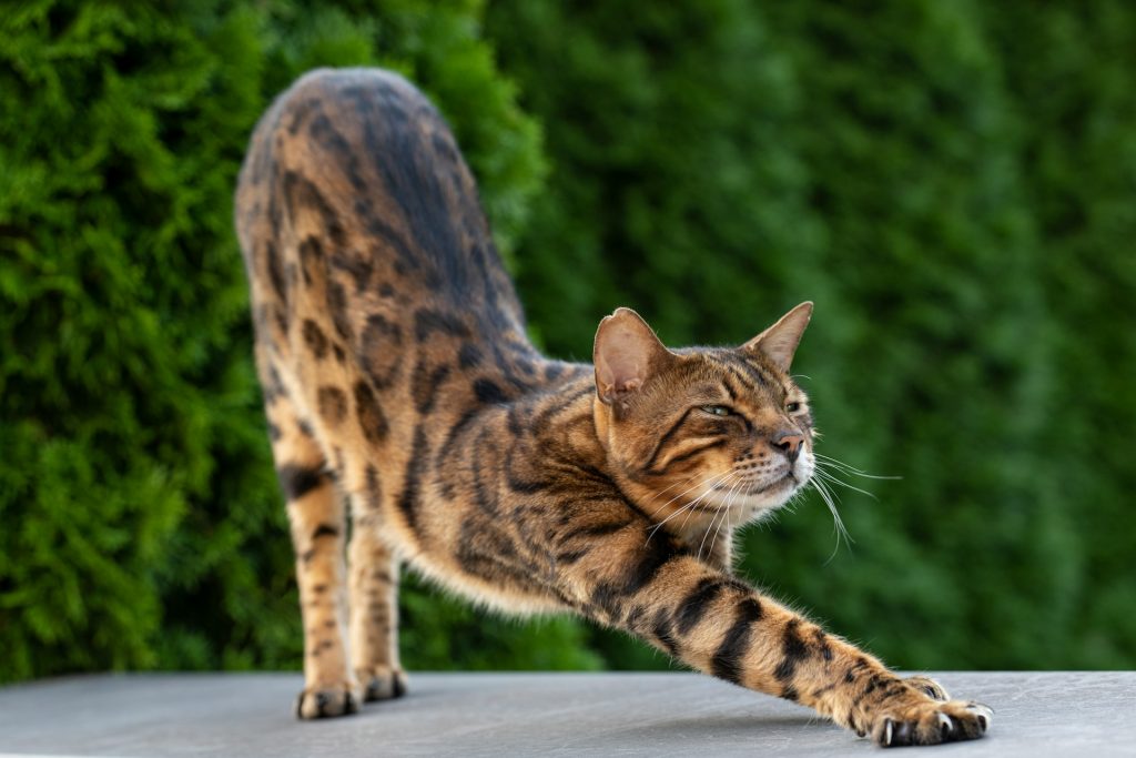 Источник: G Engleder / Unsplash