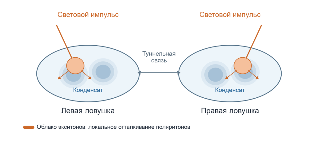 Рисунок 2. Схема управления двумя связанными поляритонными конденсатами. Световые импульсы создают локальные облака экситонов, которые отталкивают поляритоны и изменяют волновые состояния в ловушках. Положения световых пятен показаны условно. Источник: схема сгенерирована в ChatGPT 6 Astra по материалам physica status solidi (b)